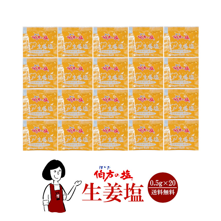 伯方の塩 生姜塩 0.5g×20袋 / メール便 送料無料